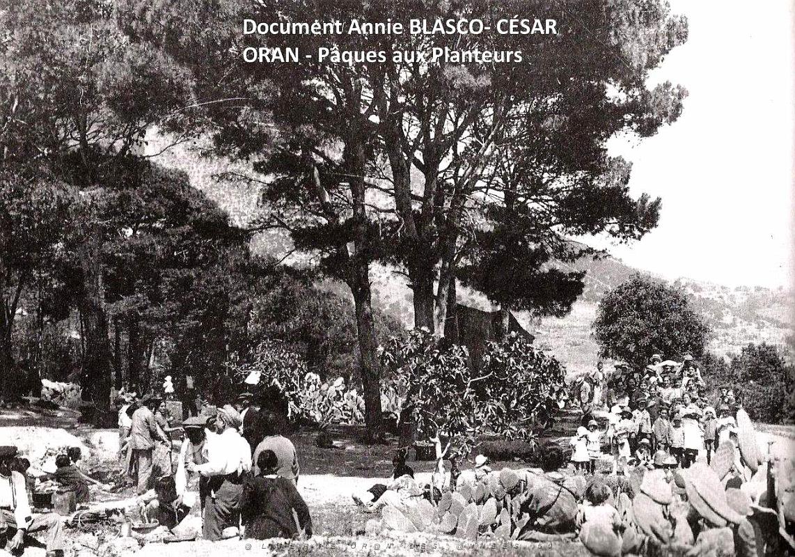 Paella aux planteurs.jpg